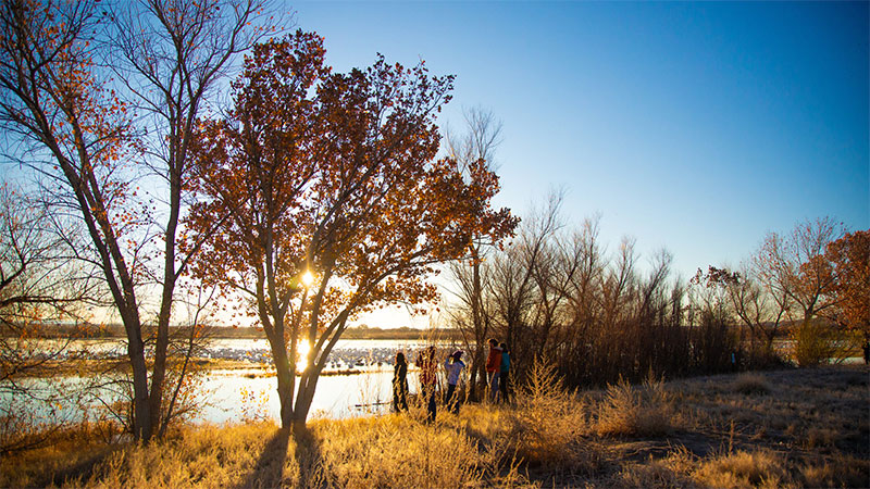 Photo of the Bosque Delapache at sunset